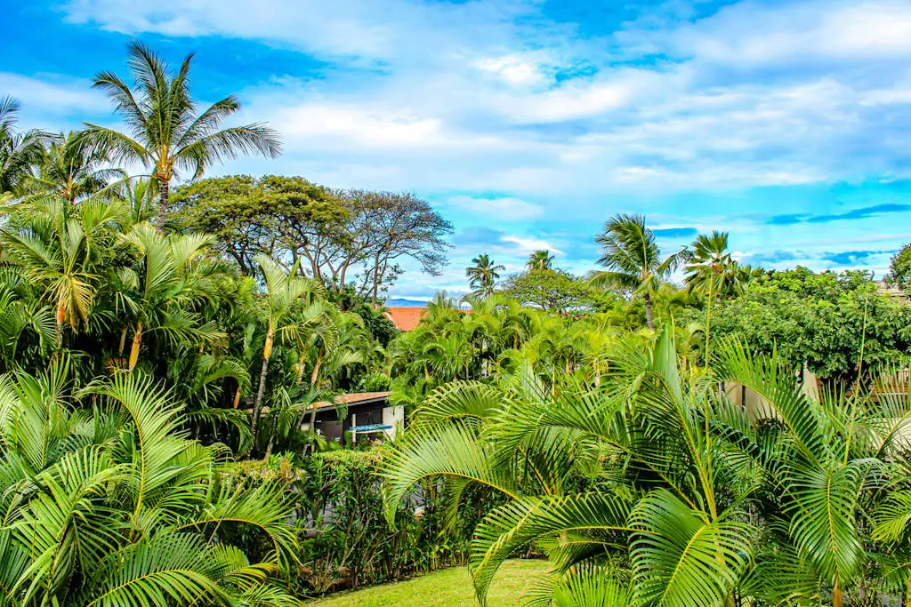 Maui Kamaole B203