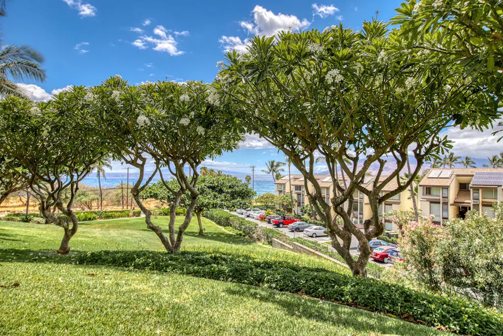 Maui Kamaole H110
