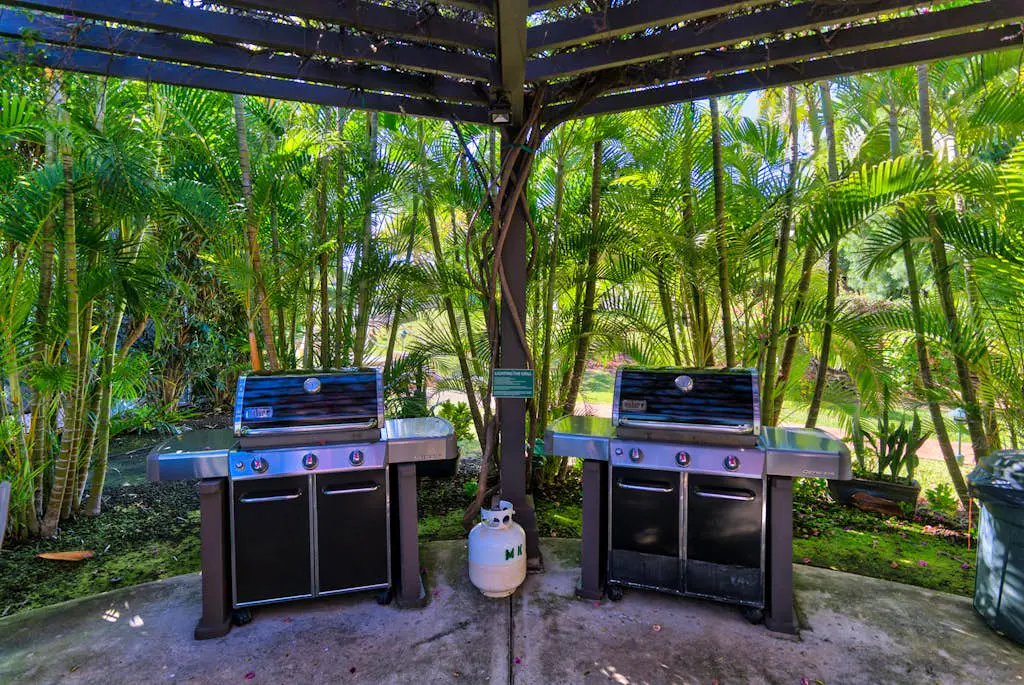 Maui Kamaole H110