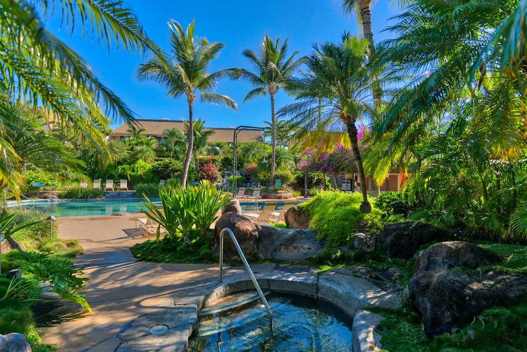 Maui Kamaole K110