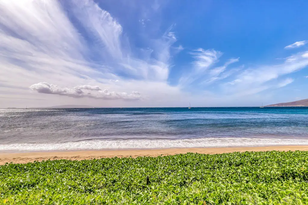 Sugar Beach Resort 230