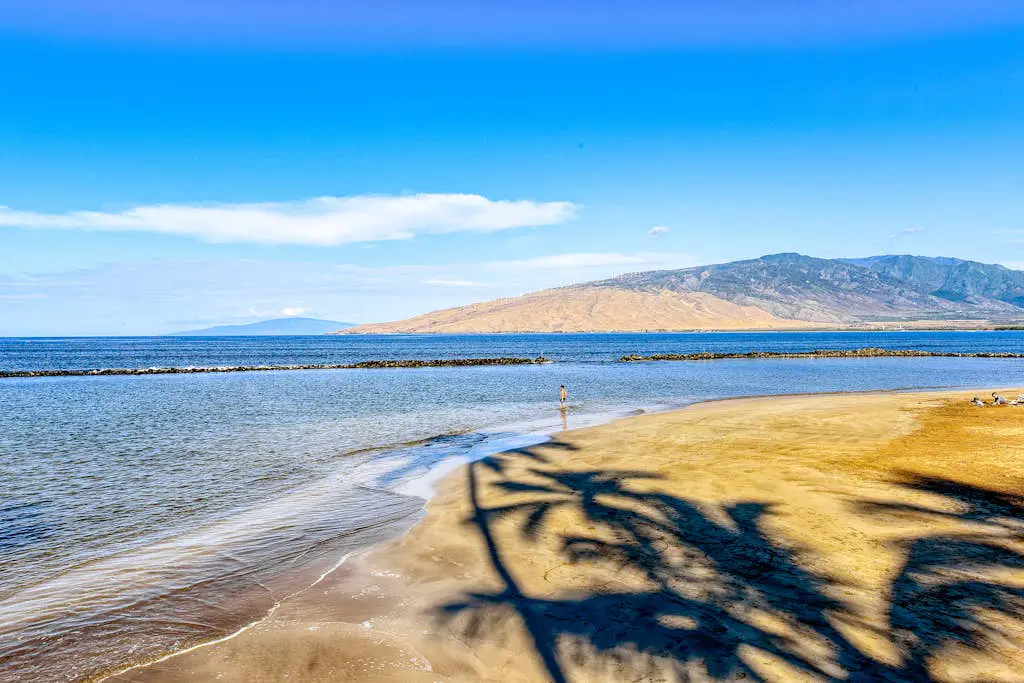 Menehune Shores 116