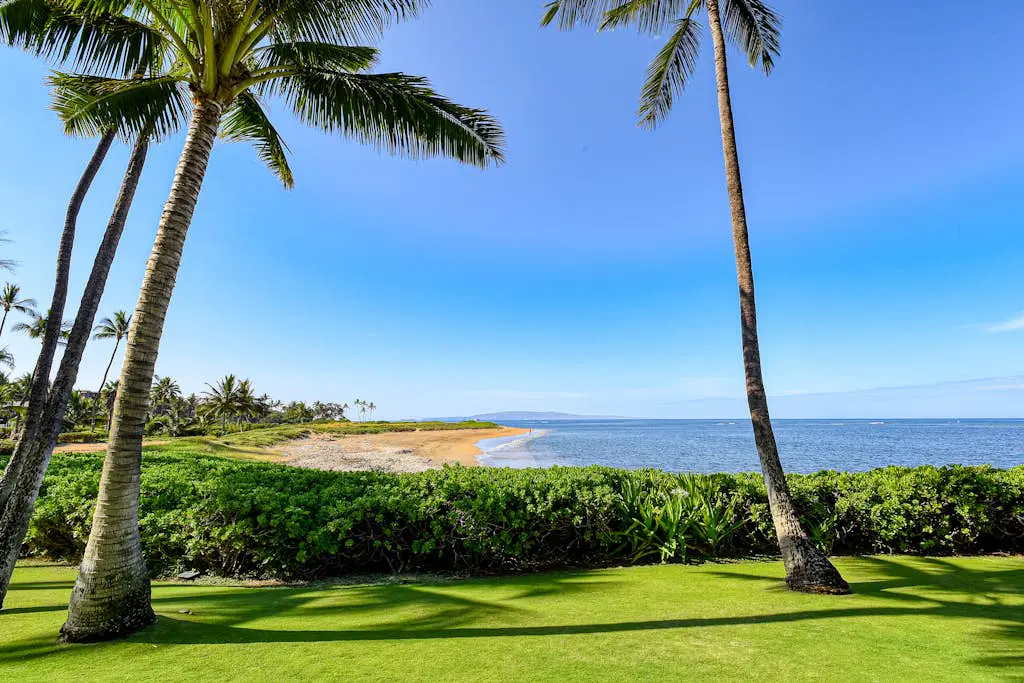 Menehune Shores 116