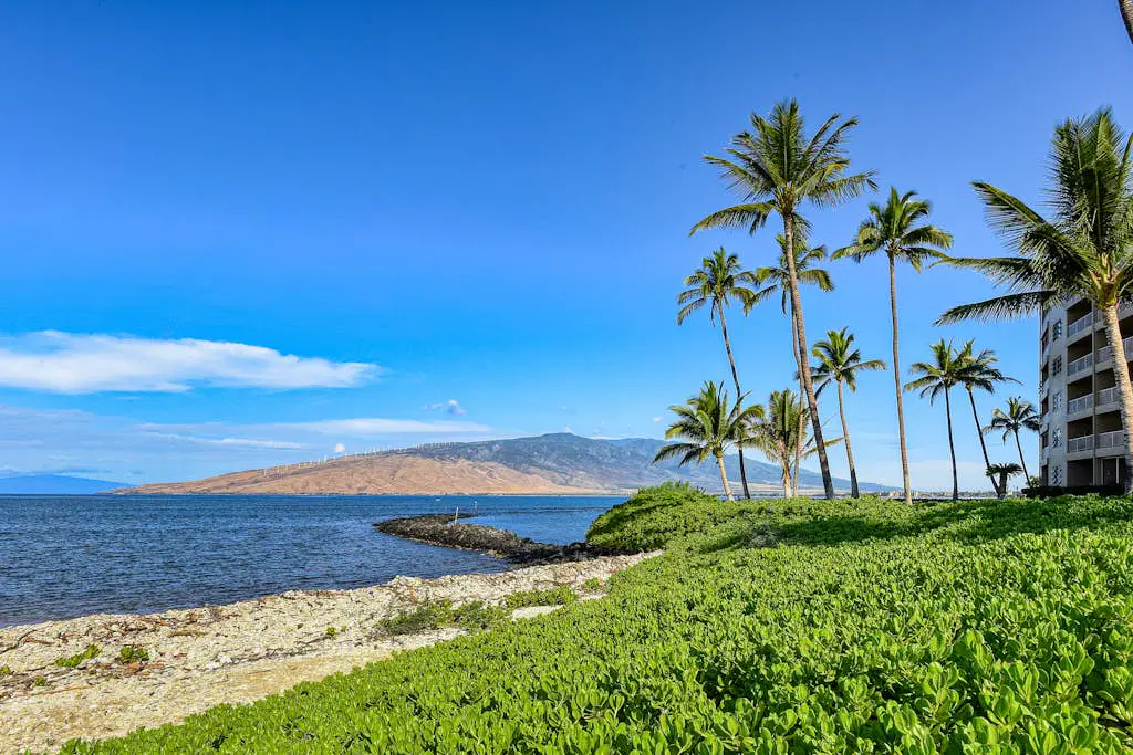 Menehune Shores 116