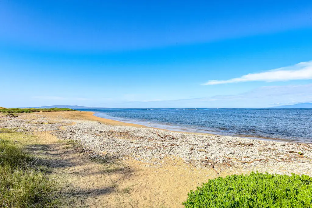 Menehune Shores 116