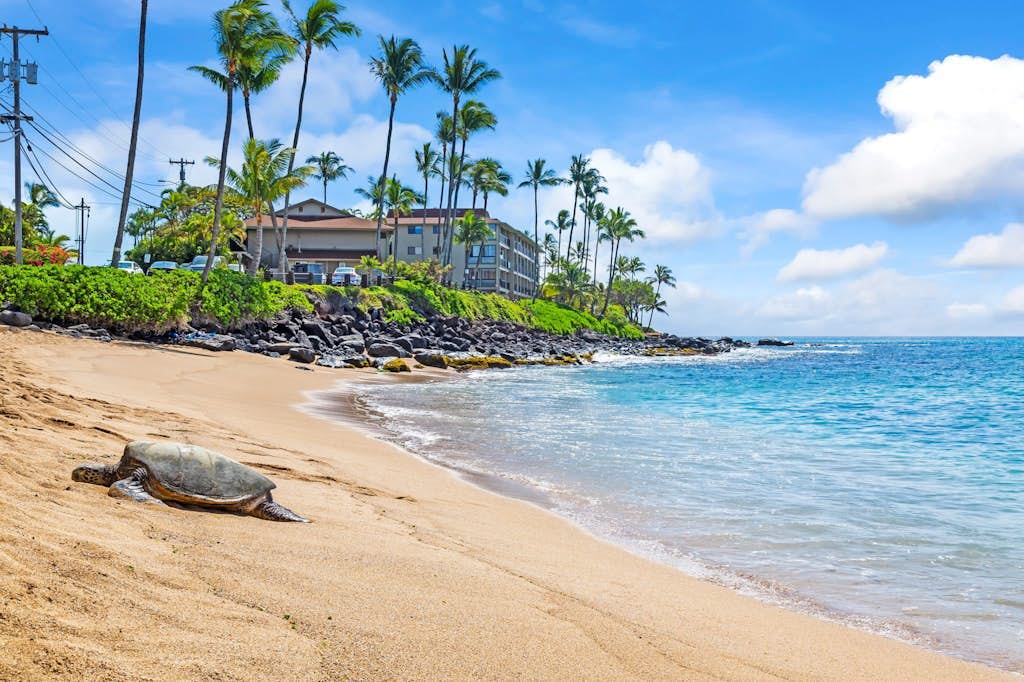 Dreamy Lahaina gem with ocean views, lanai, shared pool, & high-speed Wi-Fi