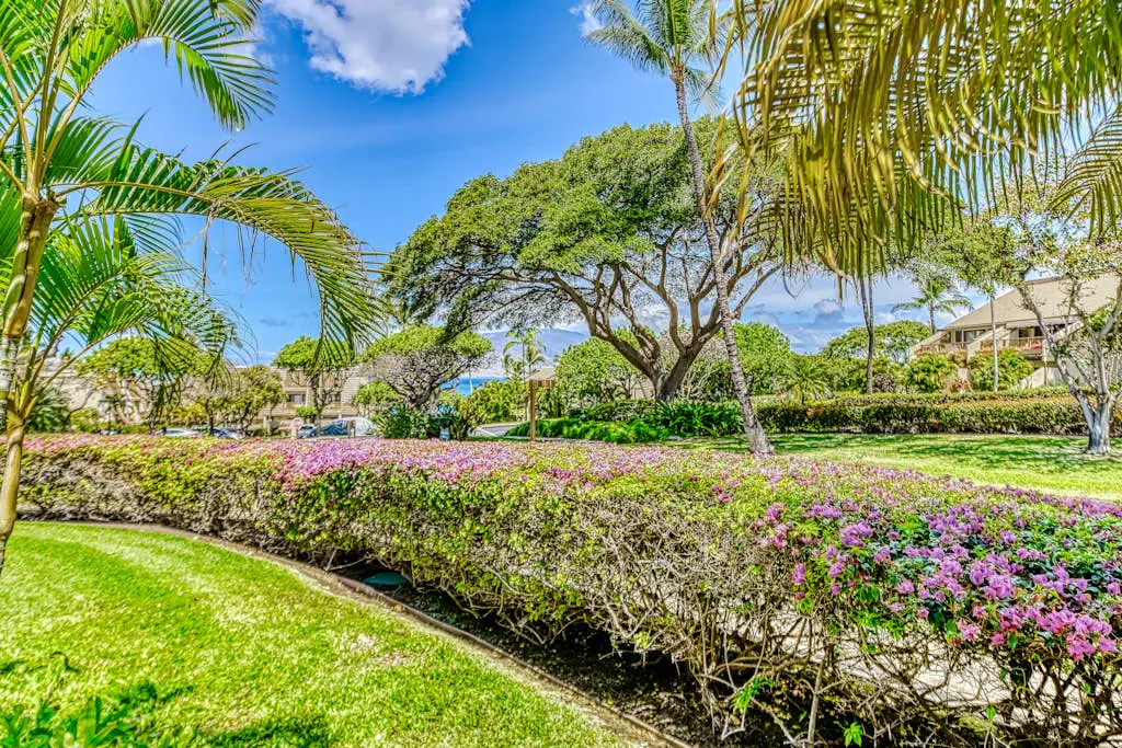 Maui Kamaole B115