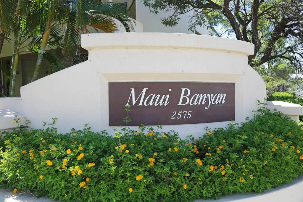 Maui Banyan H404