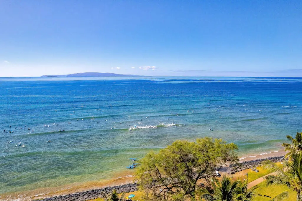 Island Surf 601A