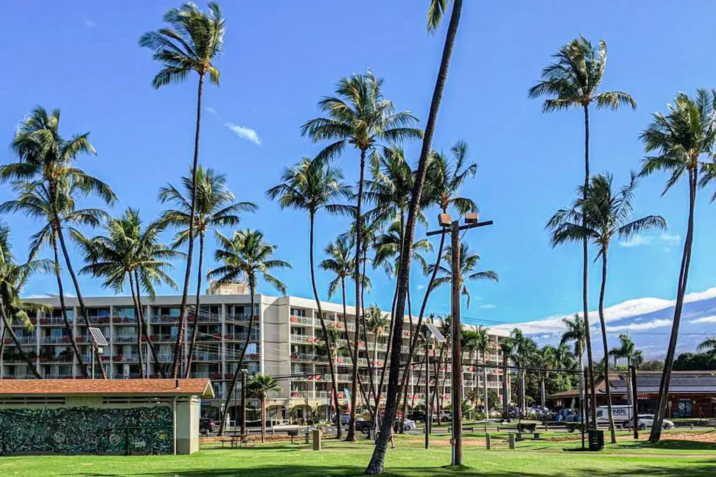 Island Surf 601A