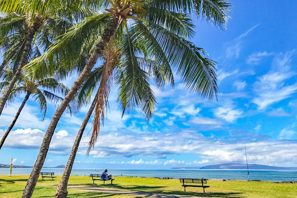 Island Surf 601A