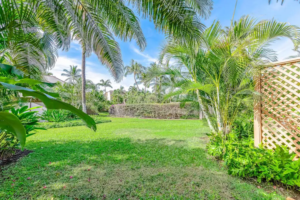 Maui Kamaole M104