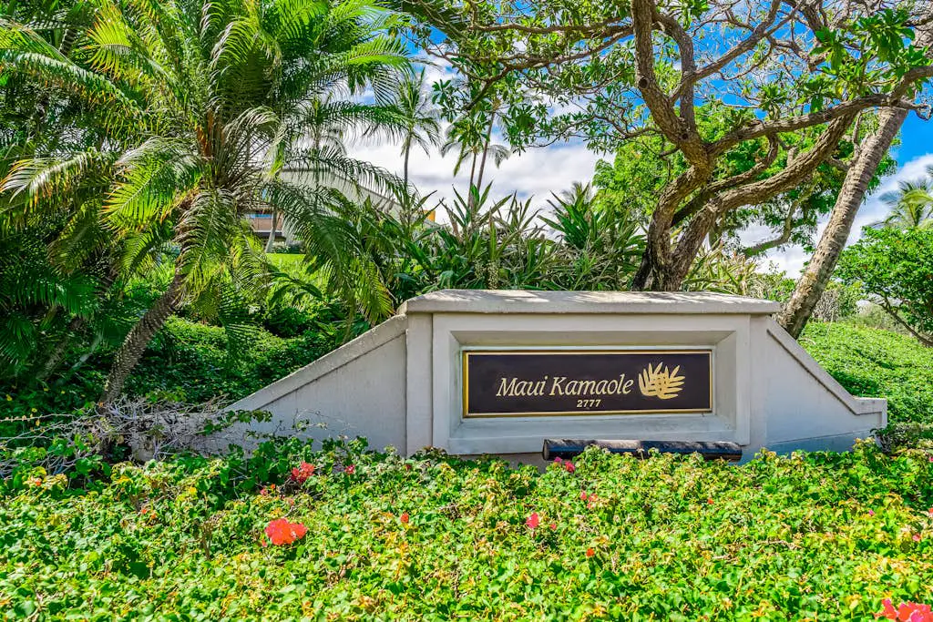 Maui Kamaole M104