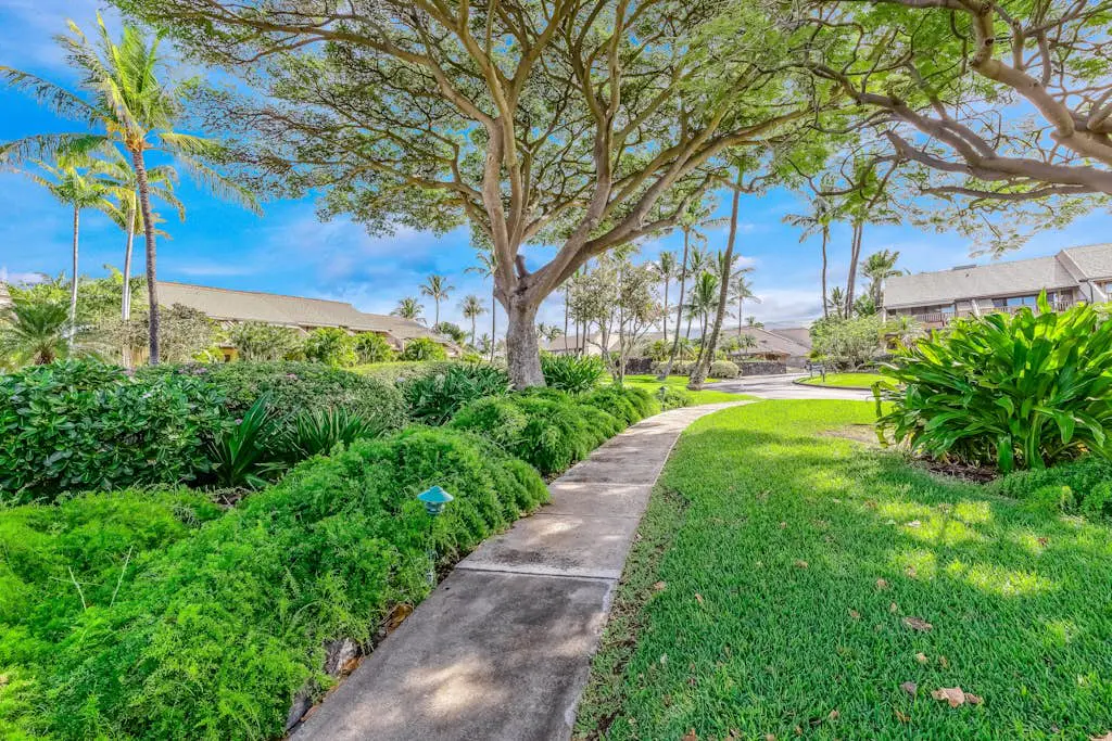 Maui Kamaole M104