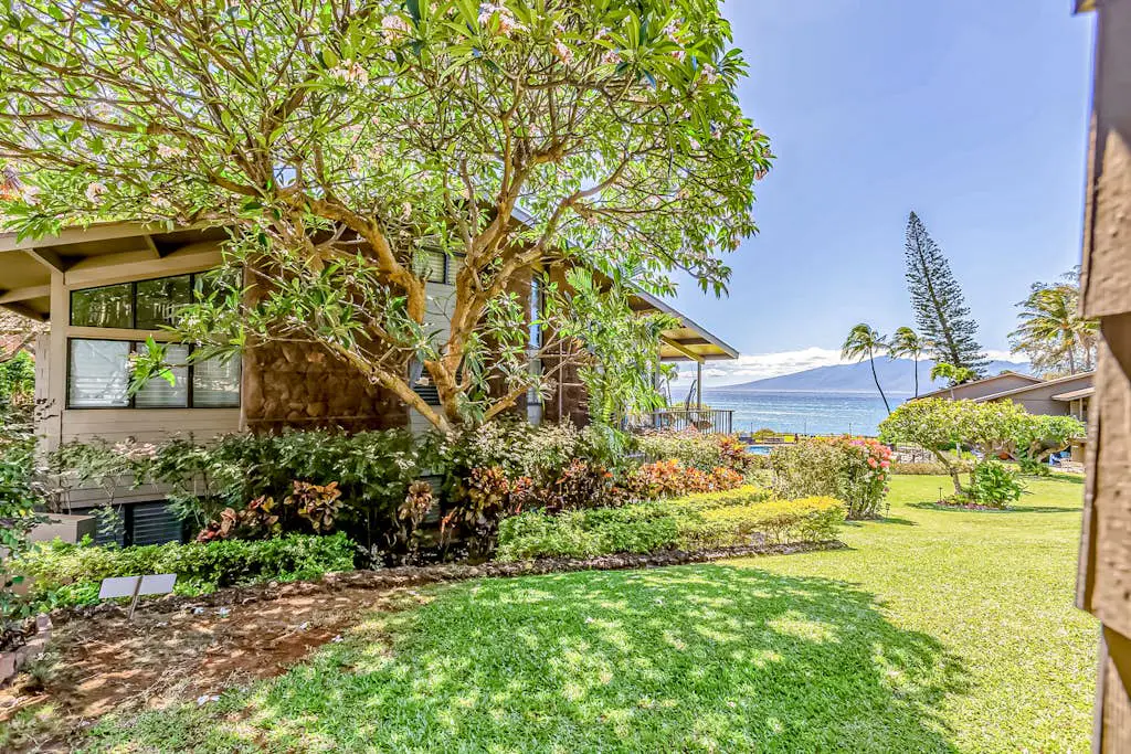 Polynesian Shores 118