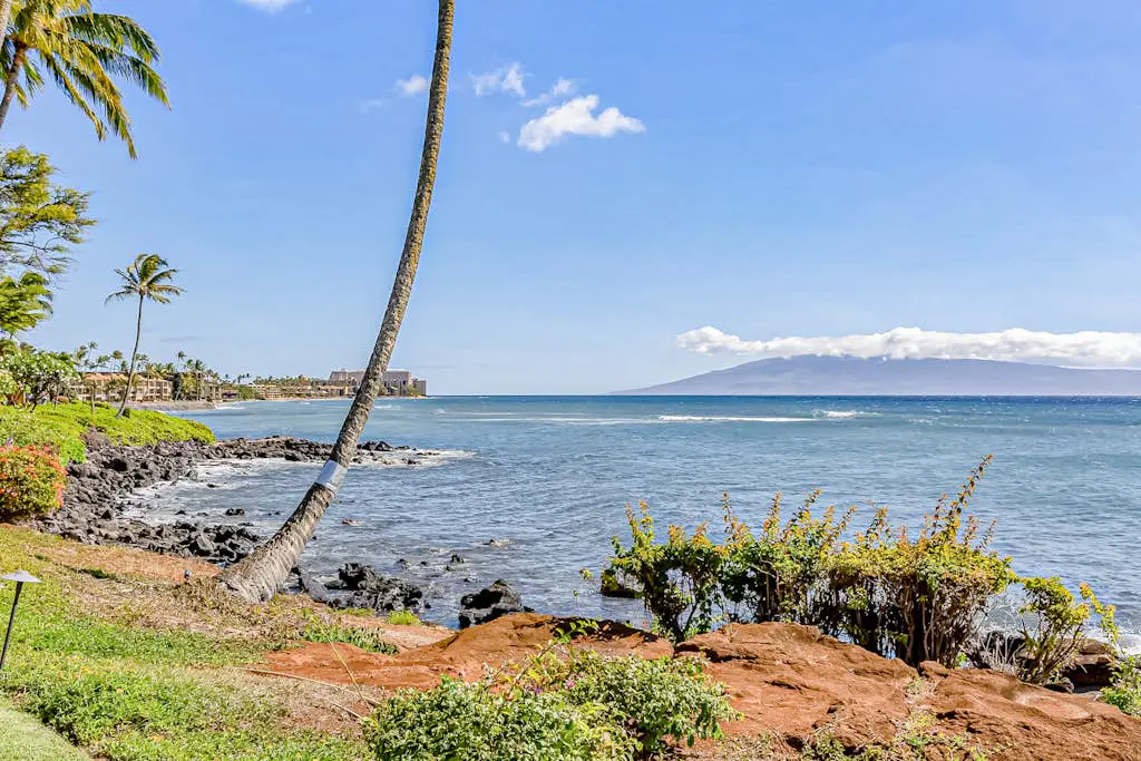 Polynesian Shores 118