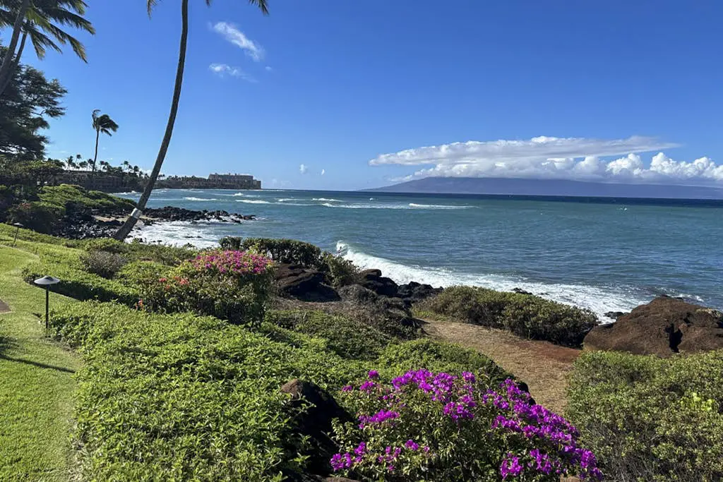 Polynesian Shores 118