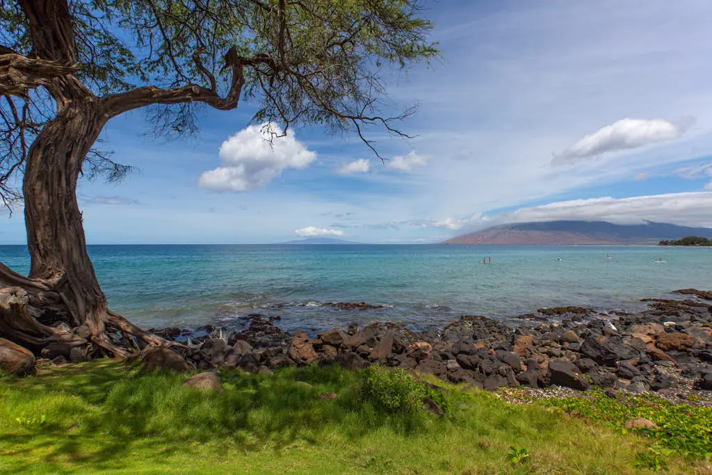 Kihei Ali'i Kai A304