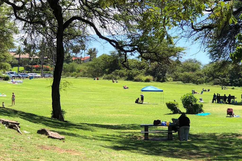 Kihei Ali'i Kai A304