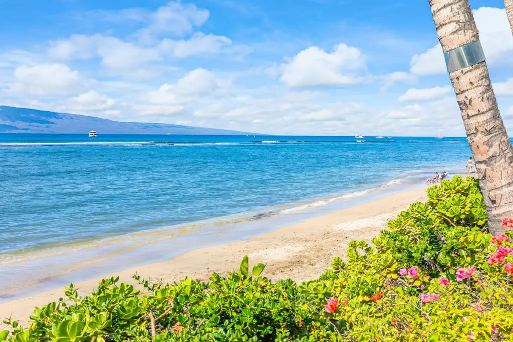 Lahaina Shores 202