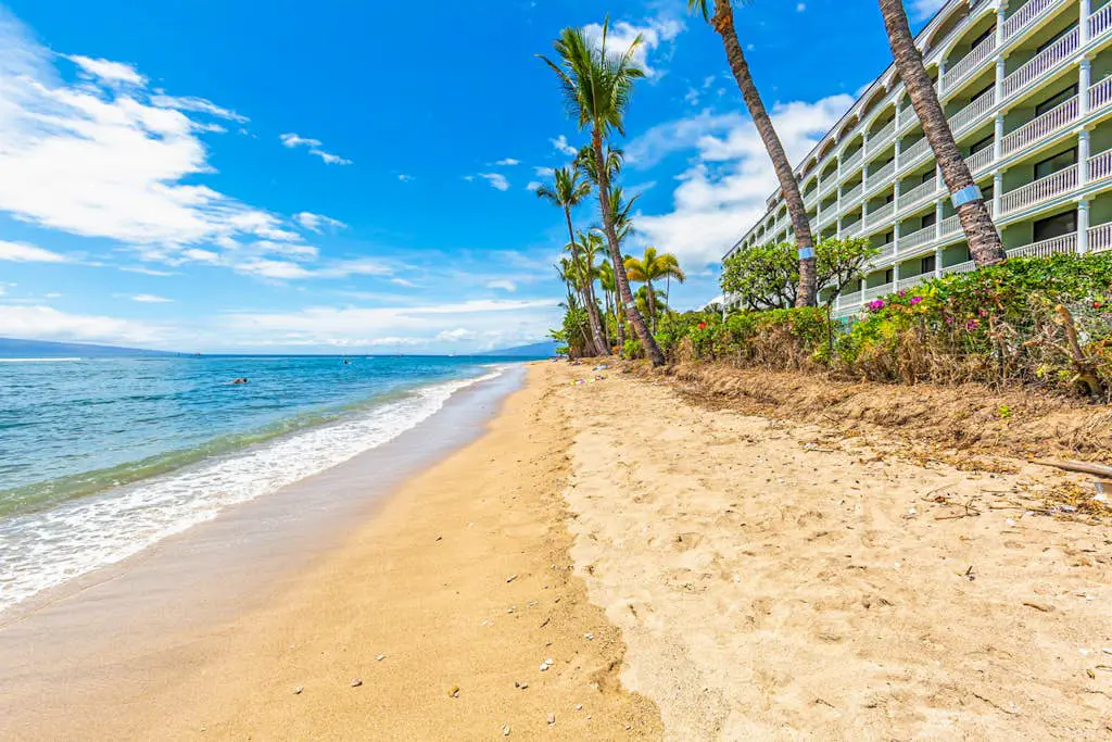 Lahaina Shores 202