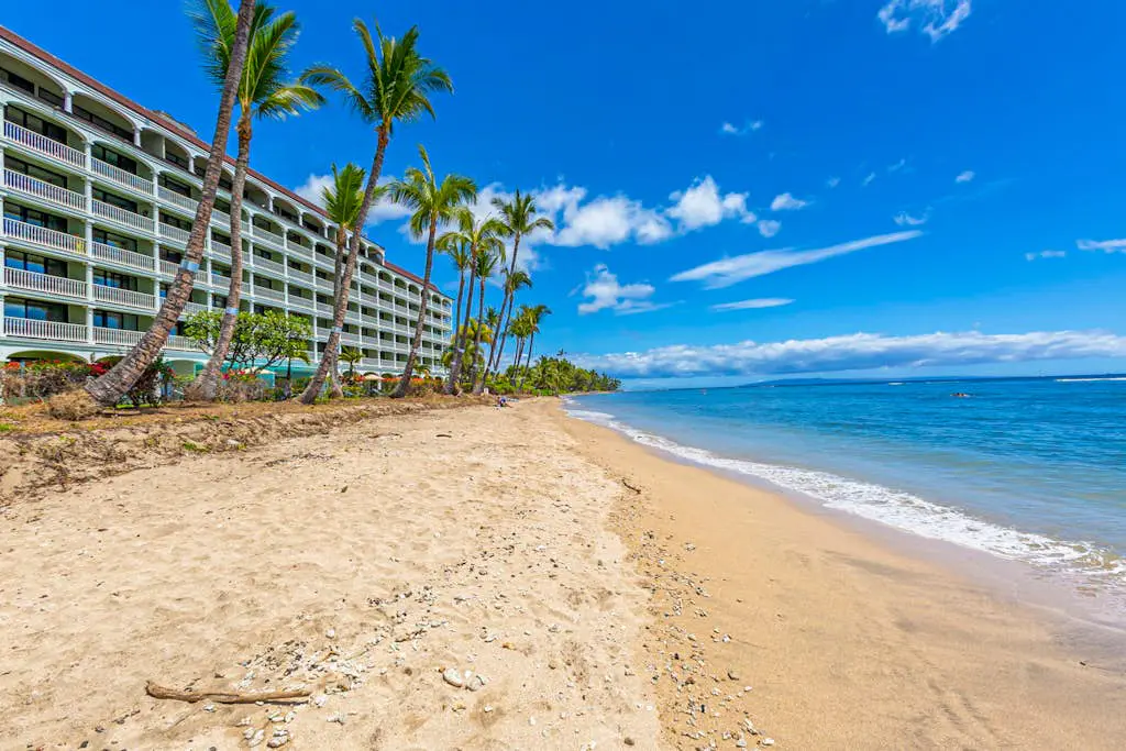 Lahaina Shores 202
