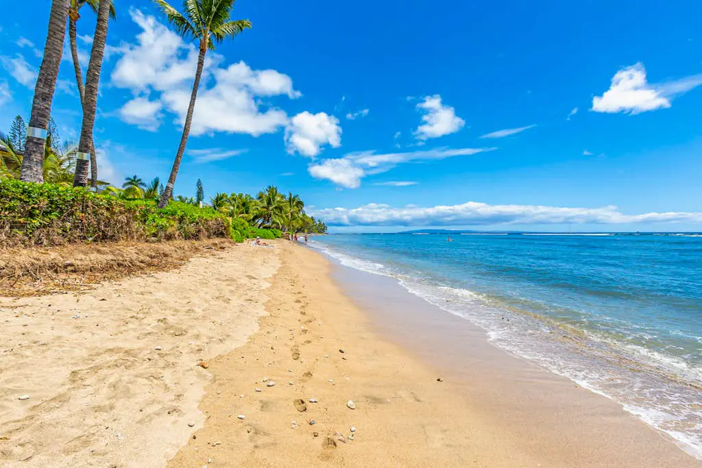 Lahaina Shores 202
