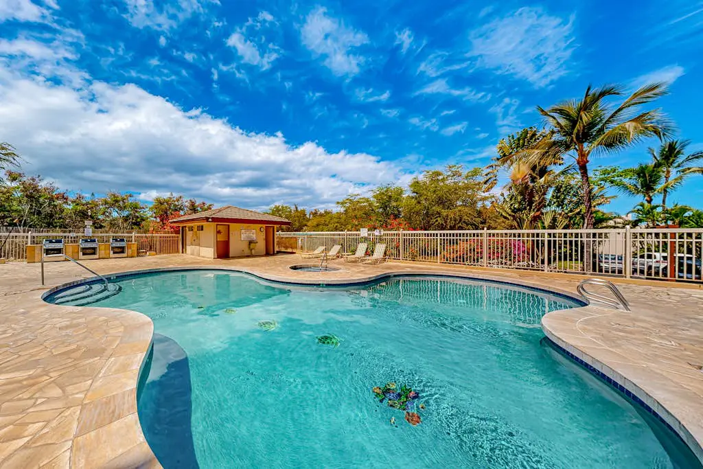 Maui Banyan B204