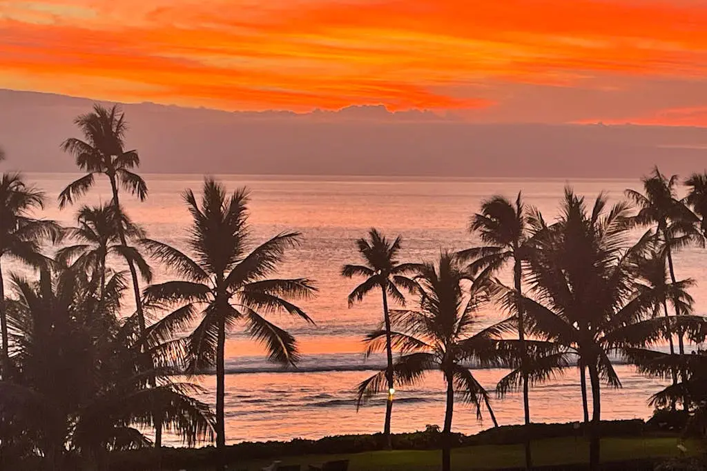 Maui Banyan B204
