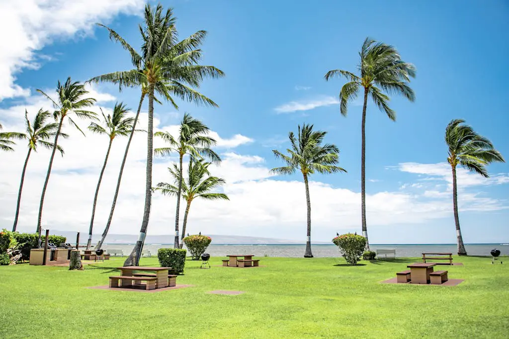 Molokai Shores A110