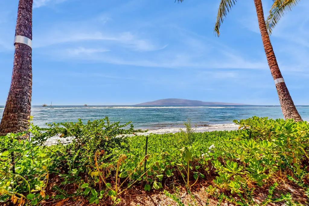 Lahaina Shores 706