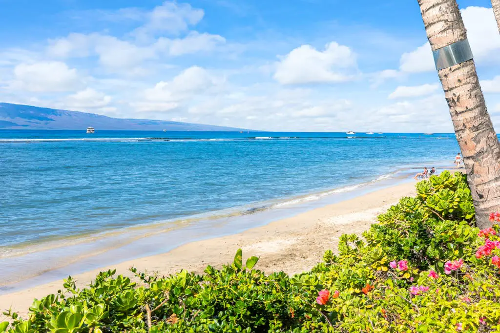 Lahaina Shores 706