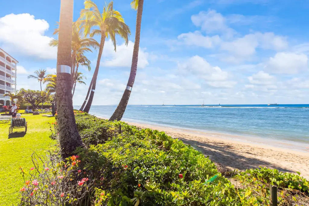 Lahaina Shores 706