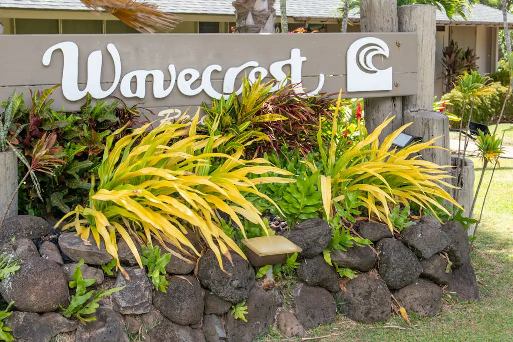 Wavecrest C316