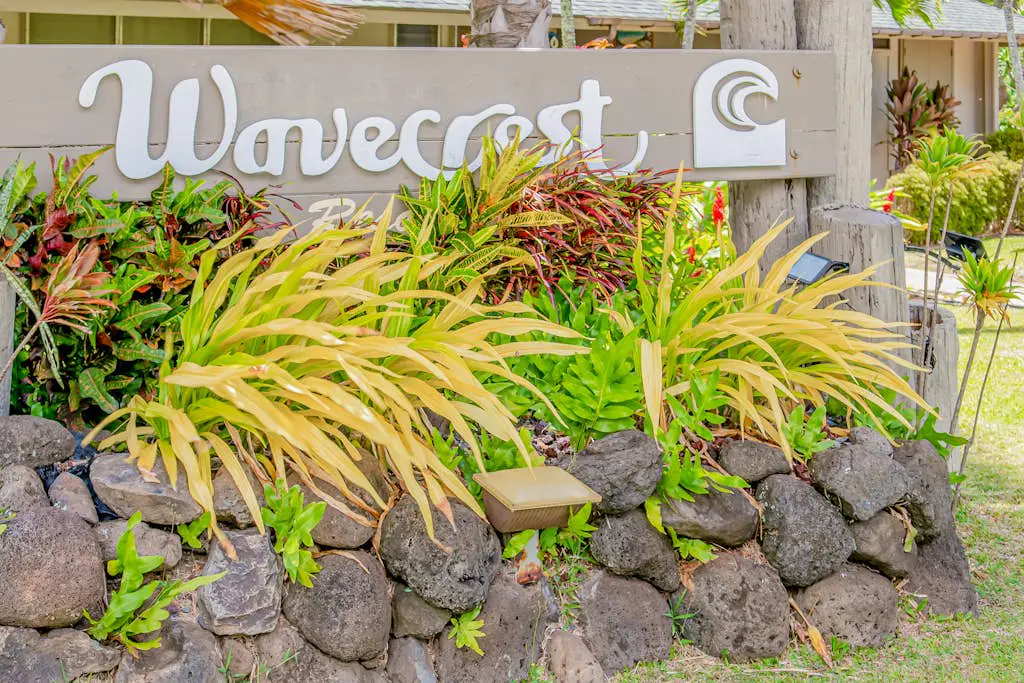 Wavecrest C309