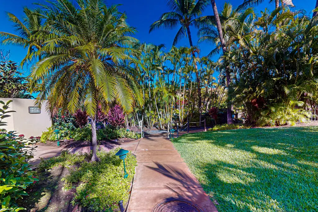 Maui Kamaole K205