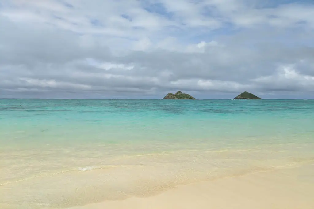 Island Colony 3715