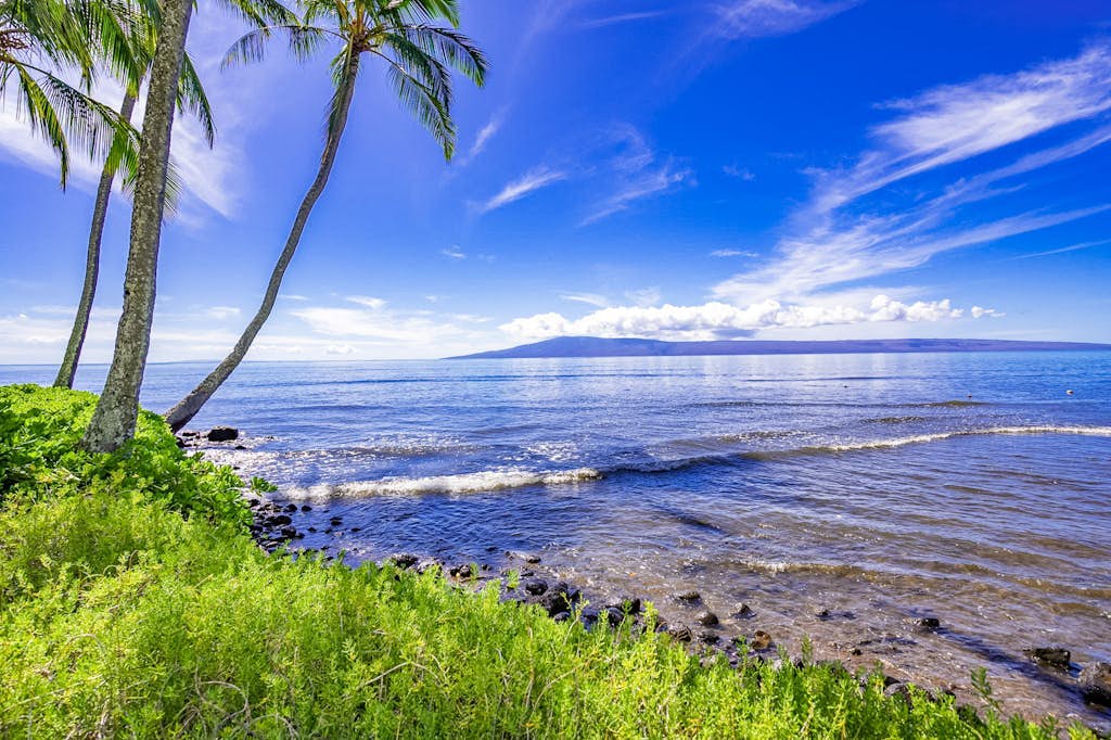 Dreamy oceanfront resort condo with pool, tennis courts, & beach access