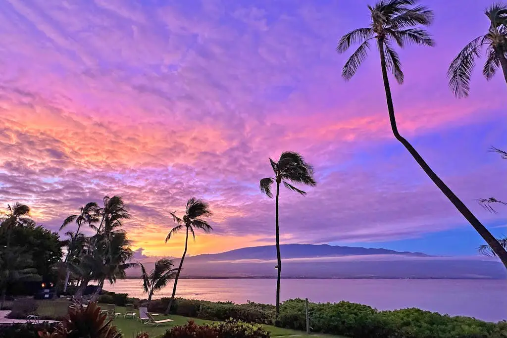 Maalaea Banyans 214