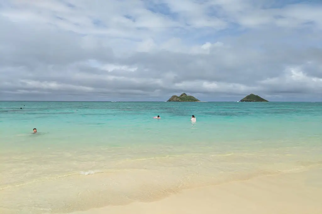 Island Colony 3512