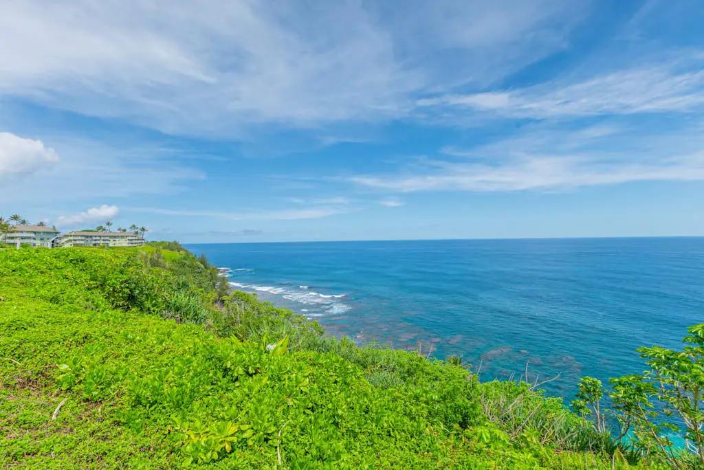 The Cliffs #4204