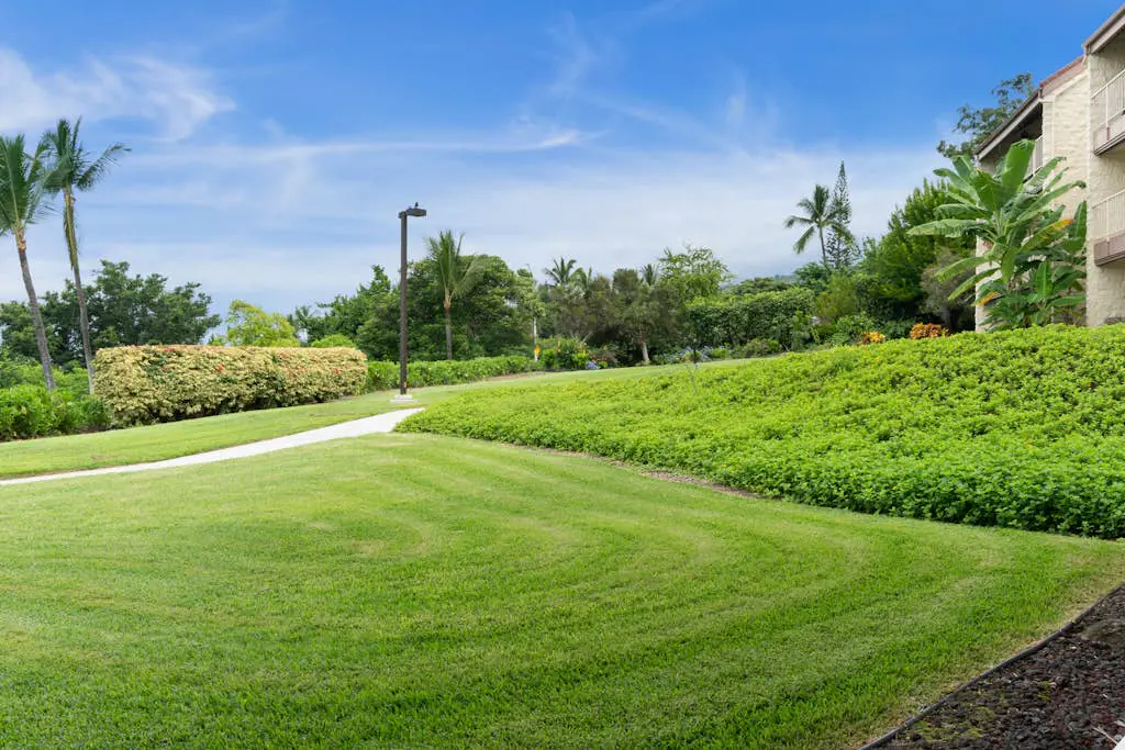 Keauhou Punahele B101