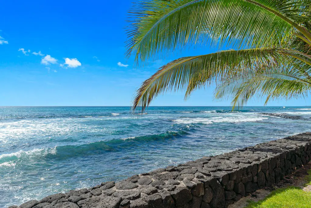 Kona Bali Kai #205