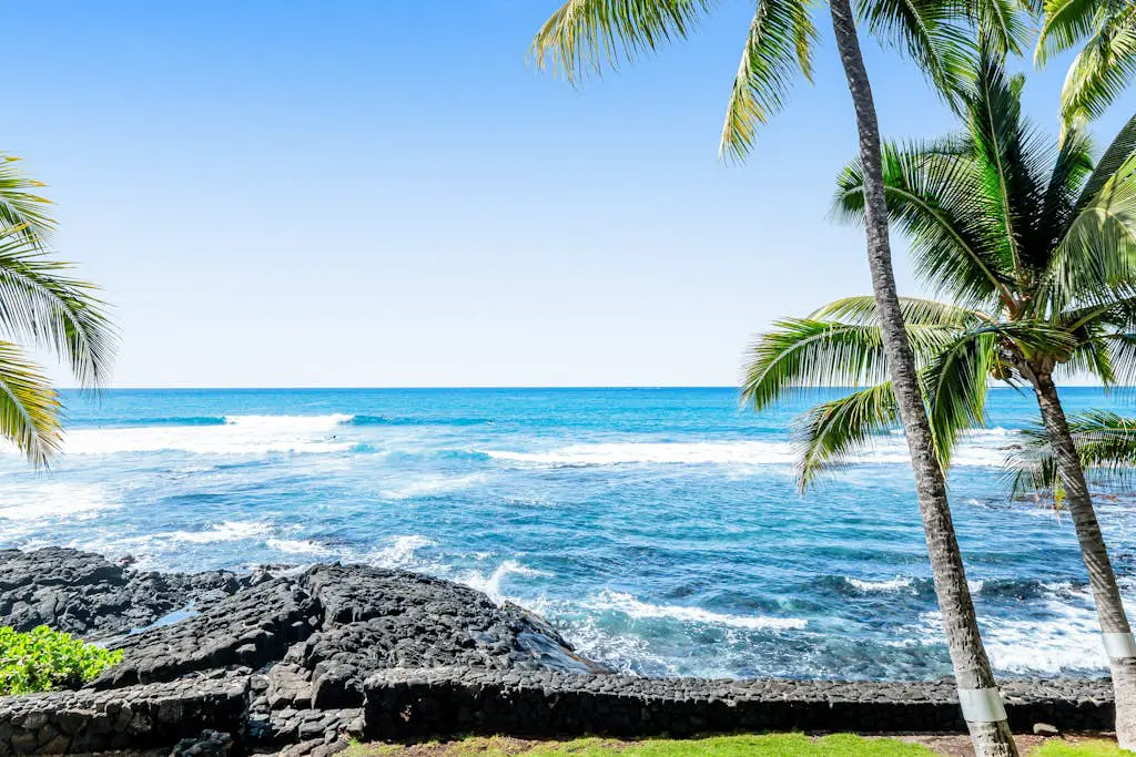Kona Bali Kai #205