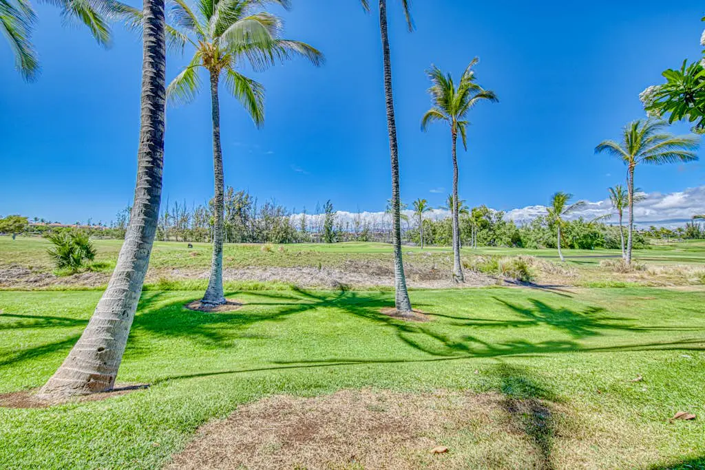 Waikoloa Fairway Villas H3