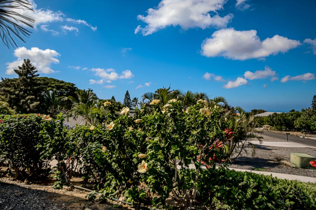 Waikoloa Neighborhood Retreat
