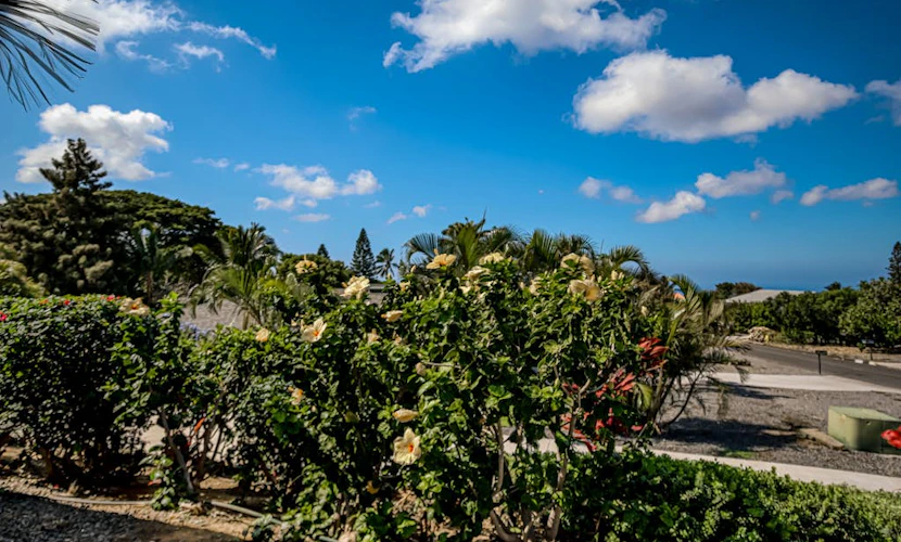 Newly updated home with pools, lanai, ocean view - walk to golf