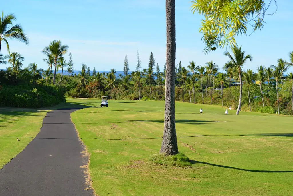 Shores at Waikoloa 338