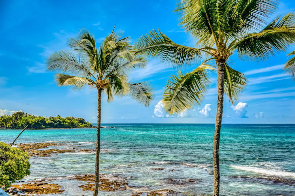 Kona Bali Kai #207