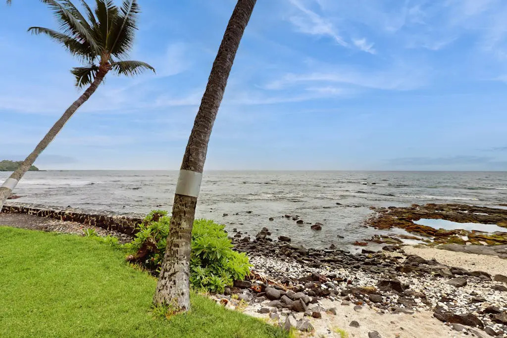 Kona Bali Kai #207